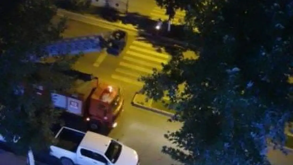 'Ağaçta mahsur kalan kedi kurtarıldı'