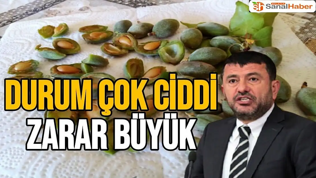 Ağbaba Durum Çok Ciddi Zarar Büyük