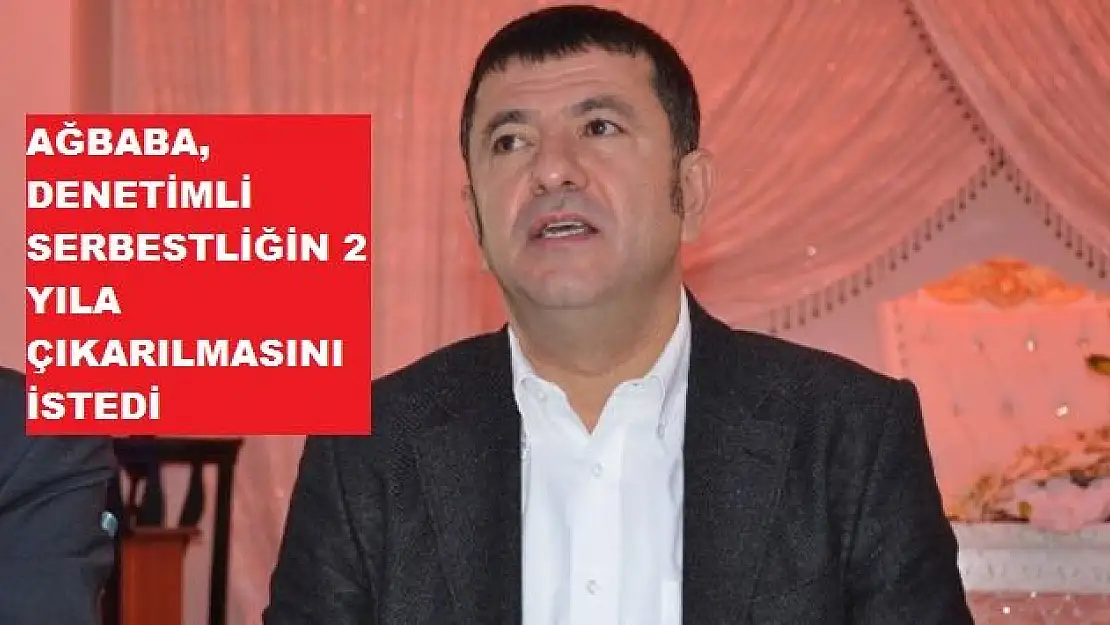 DENETİMLİ SERBESTLİĞİN 2 YILA ÇIKARILMASINI İSTEDİ