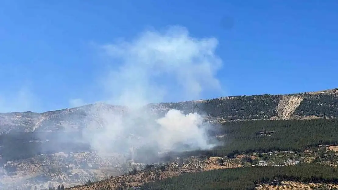 'Ahir dağında orman yangını, ekipler müdahaleye başladı'