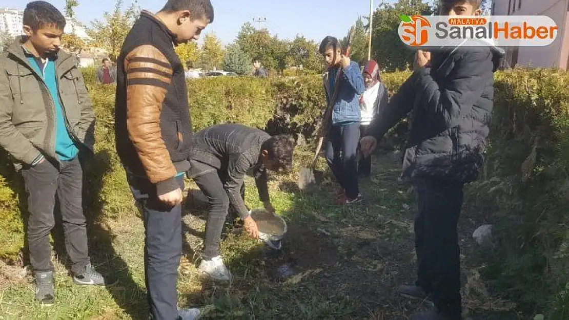 Akçadağ'da öğrenciler fidan dikti