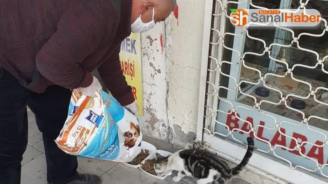 Akçadağ'da sokak hayvanları unutulmadı