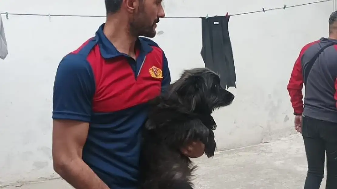 'Alevler arasında kalan köpek son anda kurtarıldı'