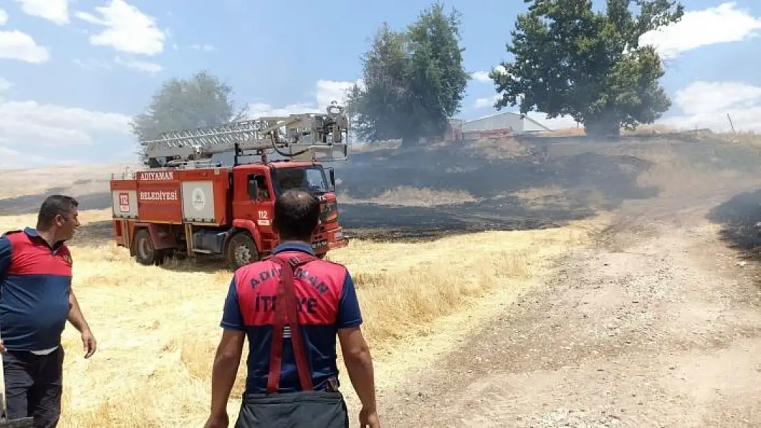 'Anız yangınında ağaçlar zarar gördü'