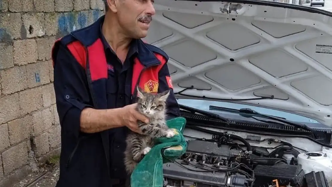 'Aracın motor kısmına sıkışan kedi kurtarıldı'