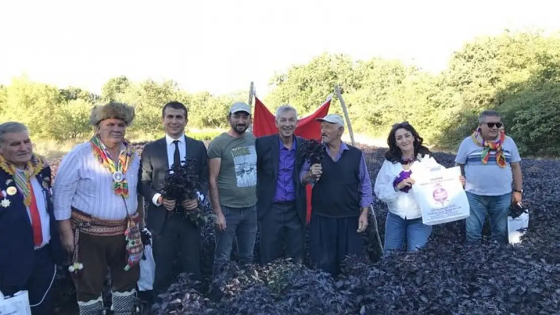 'Arapgir´de festival dolu dolu geçti'