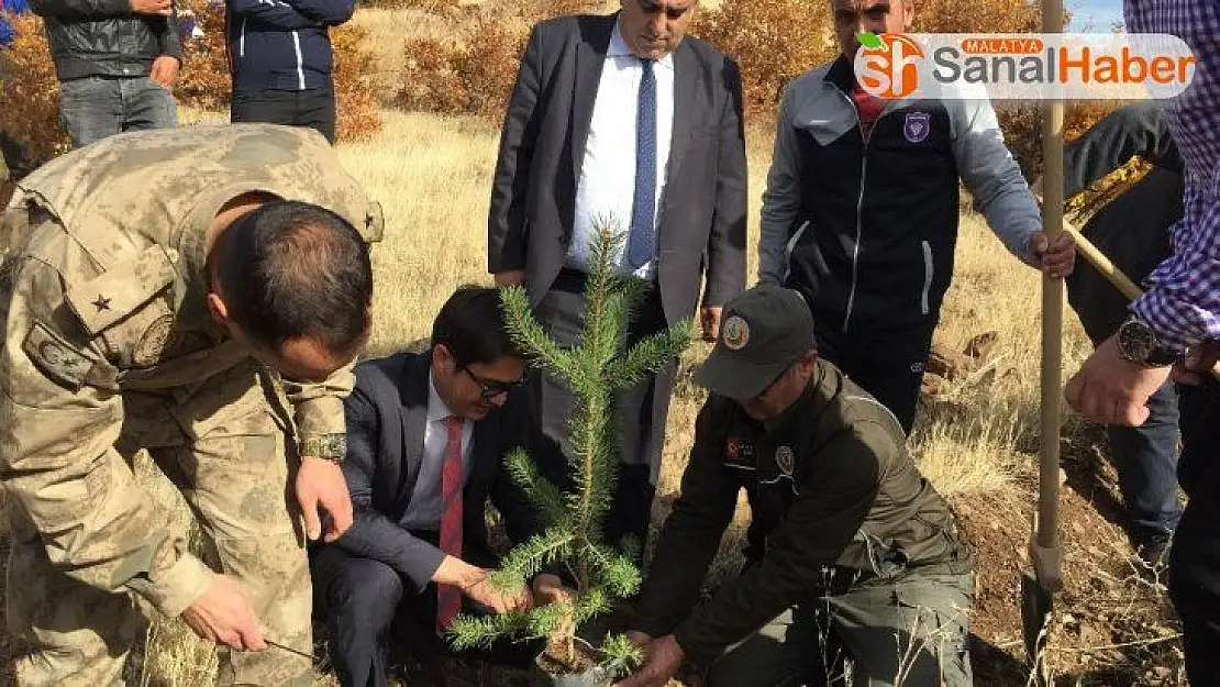 Arapgir'de fidanlarla toprakla buluştu