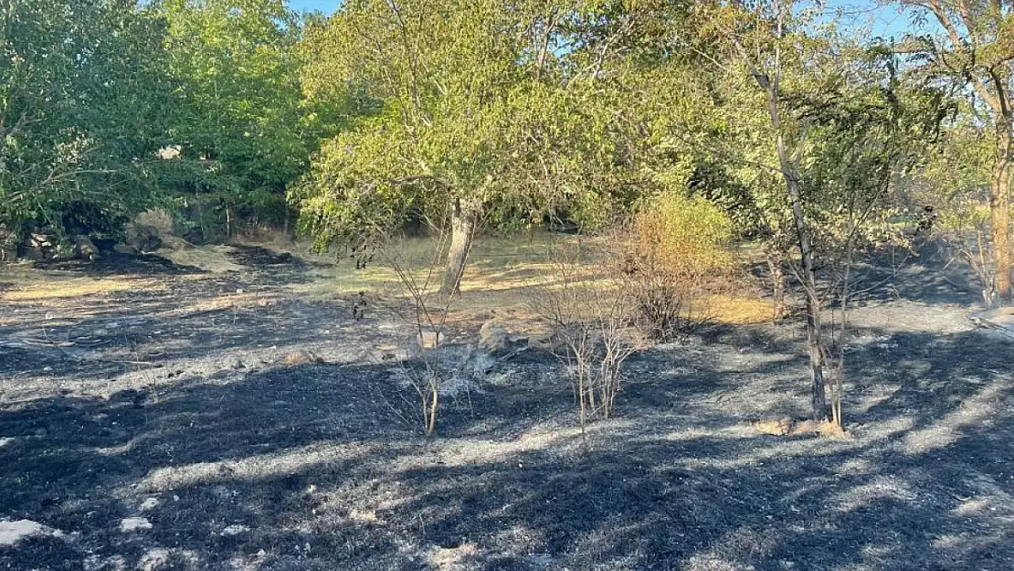 Arguvan'da iki ayrı noktada yangın