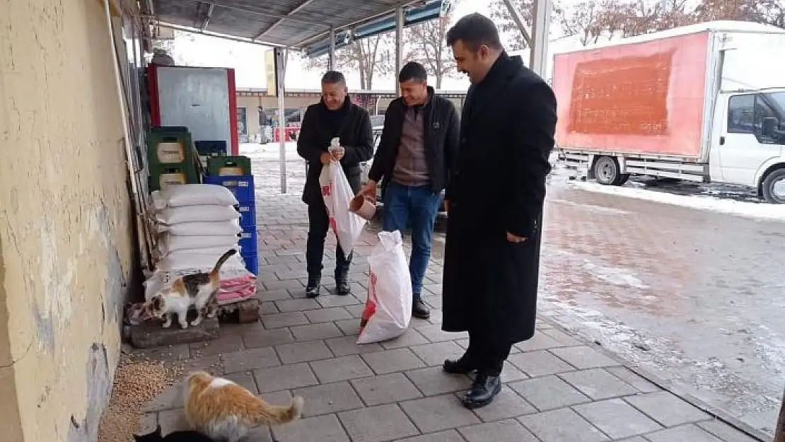 'Arguvan´da sokak hayvanları unutulmadı'