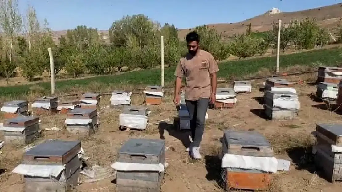 'Arılara fısıldayan adam, yaptığıyla ağızları açık bıraktı'