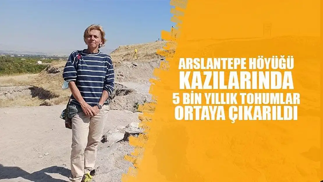 Arslantepe Höyüğü kazılarında 5 bin yıllık tohumlar ortaya çıkarıldı