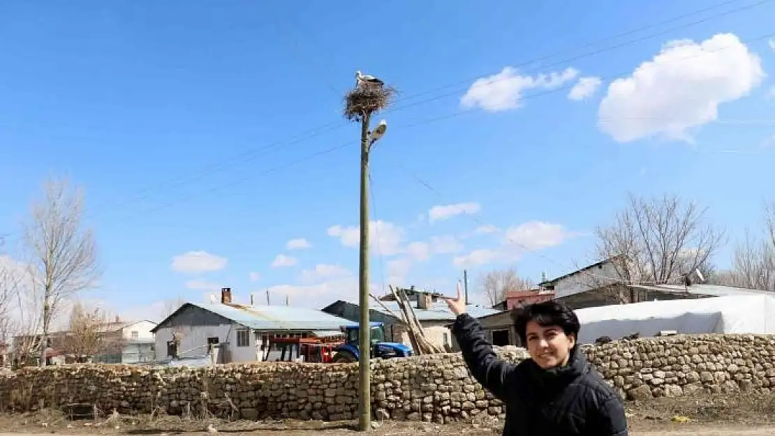 'Asırlık misafirler yine geldi, bir aile caminin diğeri kilisenin çatısına kondu'