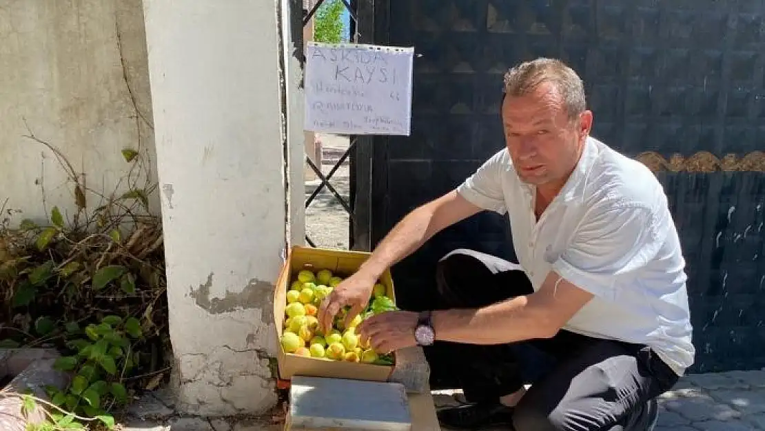 'Askıda kayısıya yoğun ilgi'