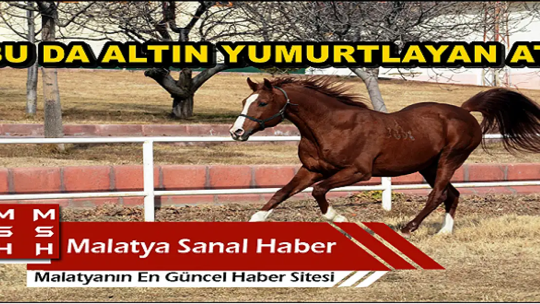 TÜRKİYE´NİN EN ÇOK PARA KAZANDIRAN AYGIRI MALATYA'DA