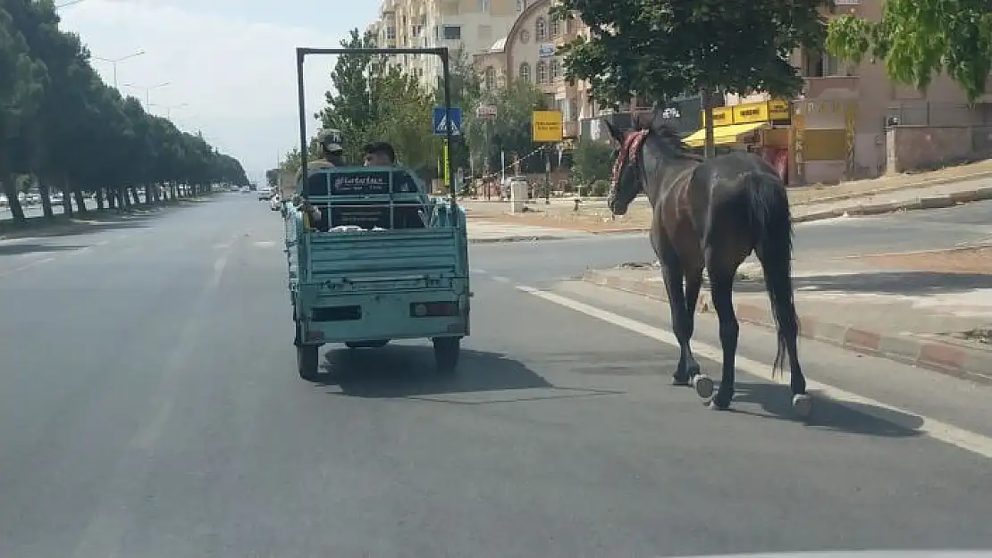 'Atı araca bağlayıp çektiler'