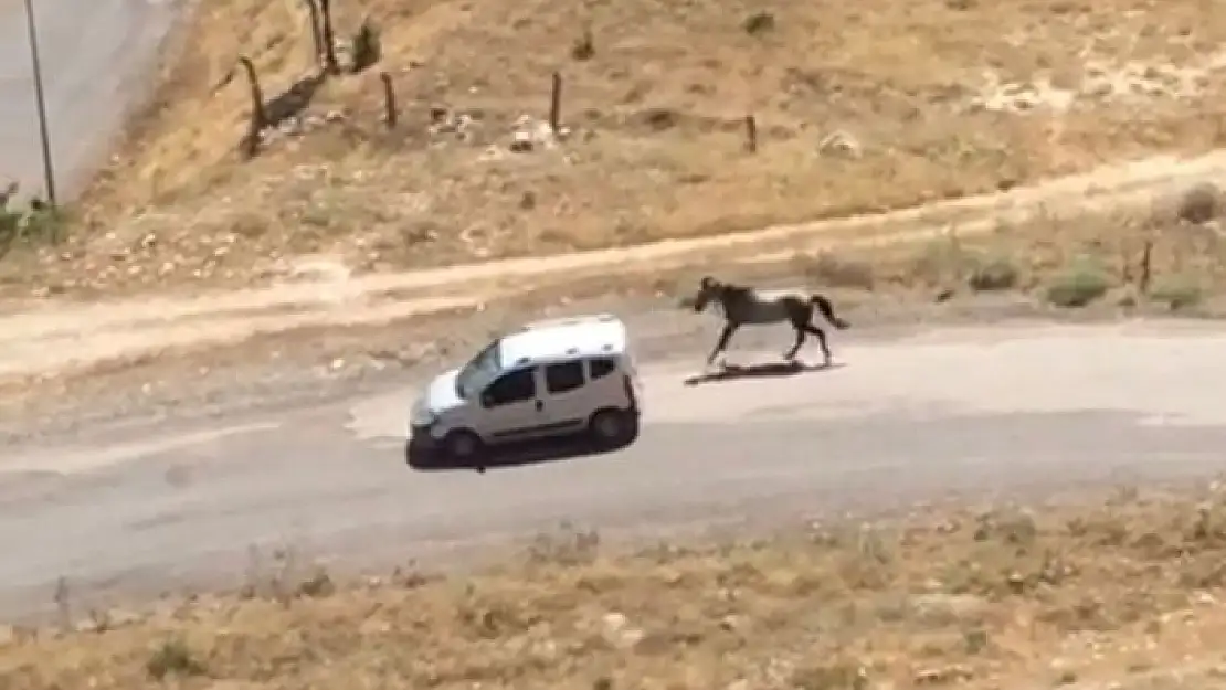 'Atı aracın arkasına bağlayıp koşturan şahsa ceza'