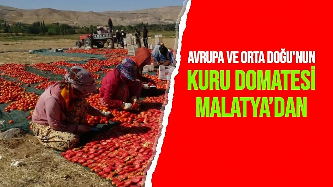 Avrupa ve Orta Doğu'nun  kuru domatesi Malatya´dan