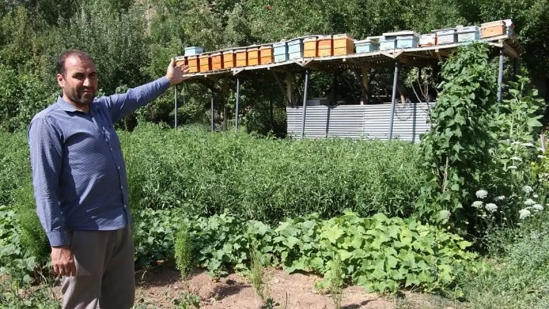 'Ayılar balını yiyince çareyi 3,5 metrelik iskele kurmakta buldu'