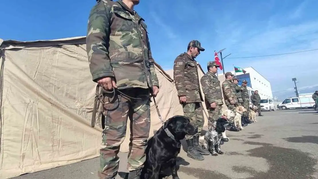 'Azerbaycan´ın ´hassas burunlu´ arama kurtarma köpekleri deprem bölgesinde'