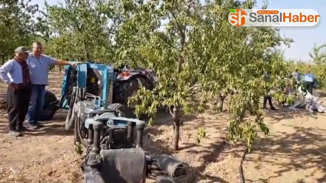 Badem hasat sezonu başladı