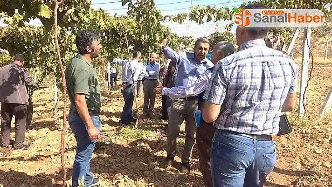 Bağlarda çardak sistemi anlatıldı