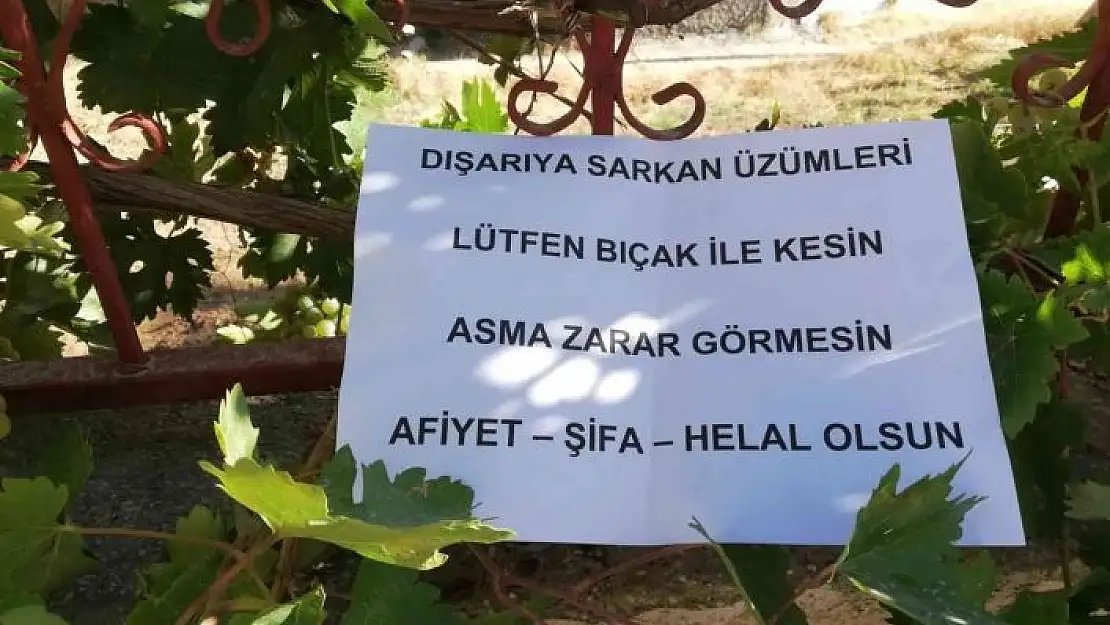 'Bahçesinden dışarı sarkan üzümler için yazdığı notla gönülleri fethetti'