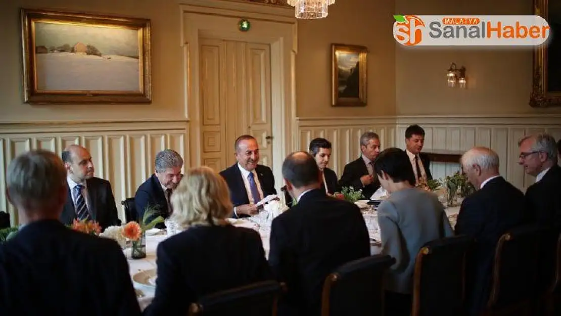 Bakan Çavuşoğlu, Norveçli mevkidaşı ile bir araya geldi