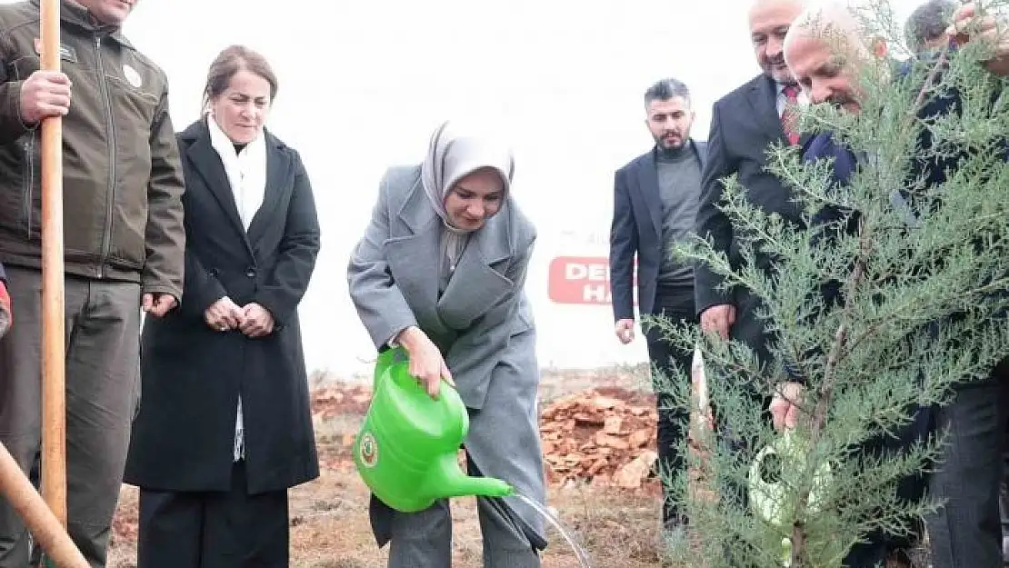 'Bakan Göktaş deprem şehitleri adına fidan dikti'