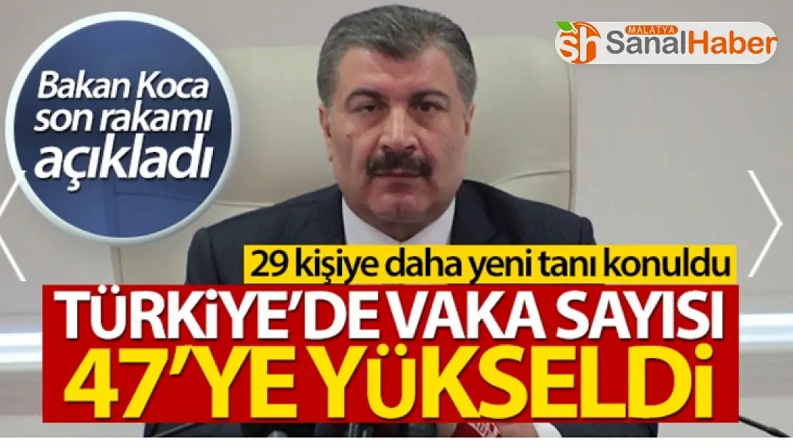 Türkiye'de korona virüsü vaka sayısı 47'ye yükseldi