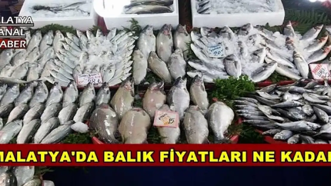 MALATYA'DA BALIK FİYATLARI NE KADAR