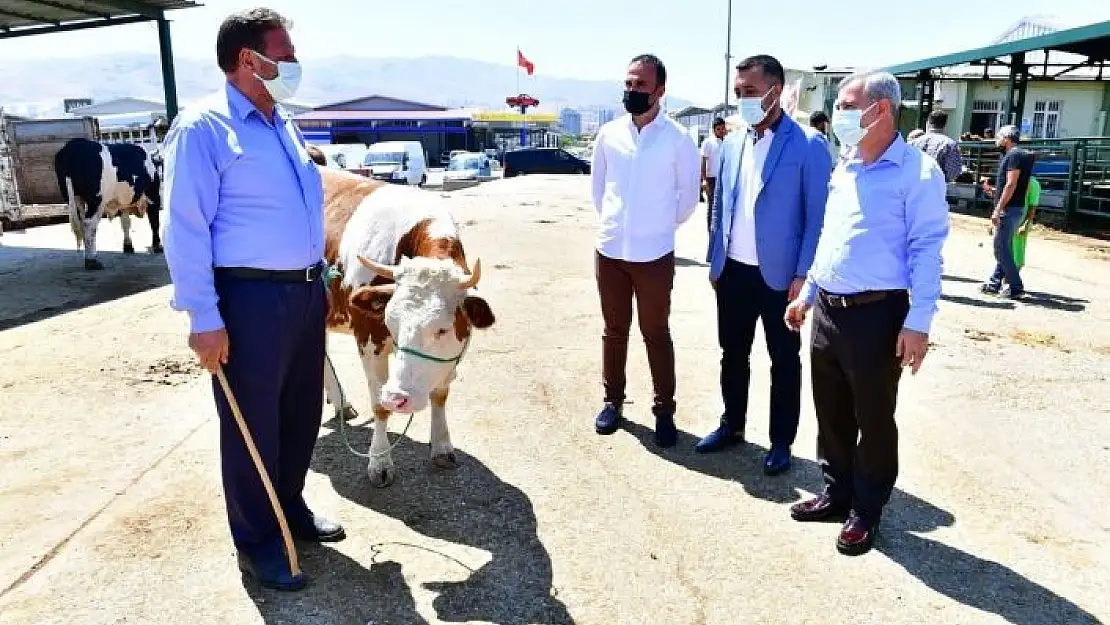 'Başkan Çınar, canlı hayvan pazarında inceleme yaptı'