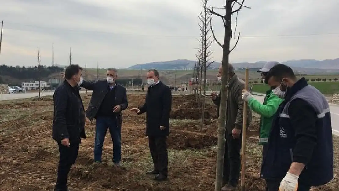 'Başkan Kılınç ağaçlandırma çalışmalarını inceledi'
