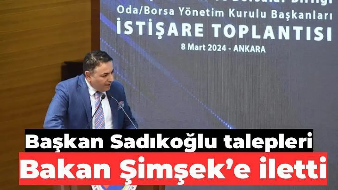 Başkan Sadıkoğlu, talepleri Bakan Şimşeke iletti