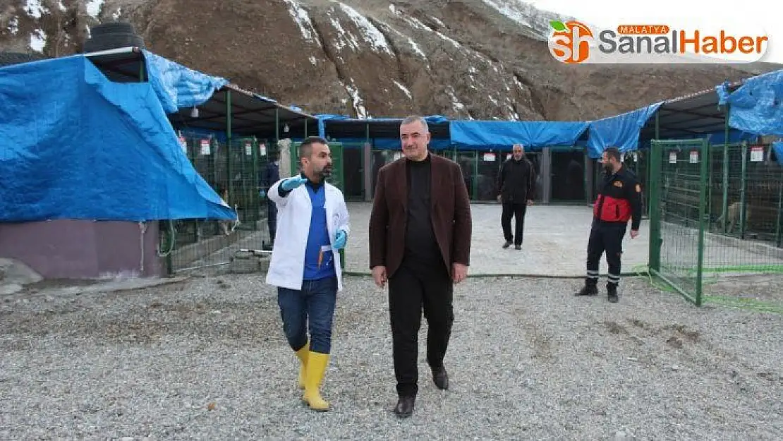 Başkan Turanlı: 'Hayvanlar, Allah'ın bize emanetleridir'