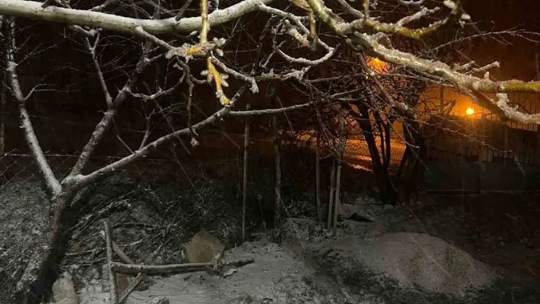 'Baskil ilçesinde kar yağışı etkili oldu'