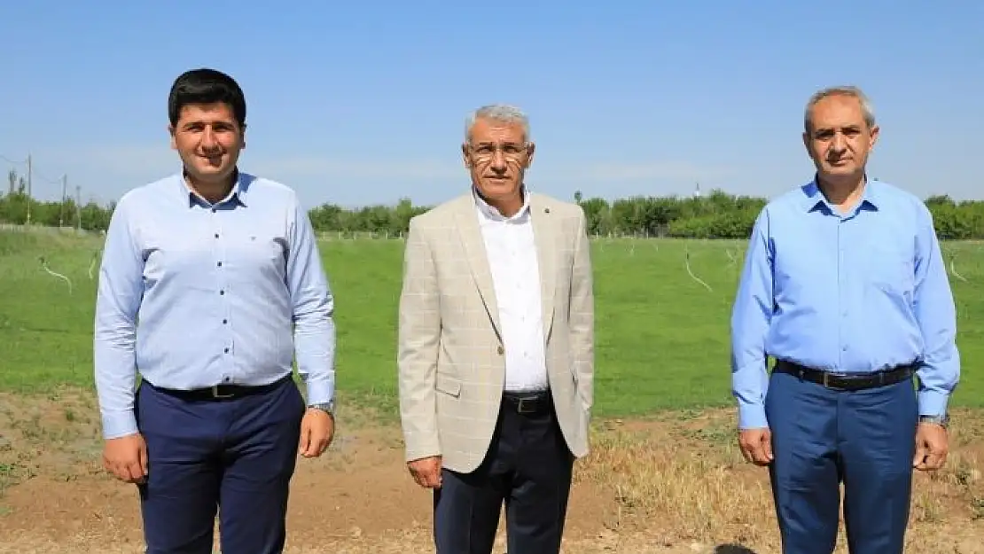'Battalgazi Belediyesi `rulo çim üretim tesisi´ kurdu'
