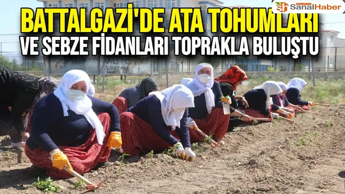 Battalgazi'de Ata tohumları ve sebze fidanları toprakla buluştu