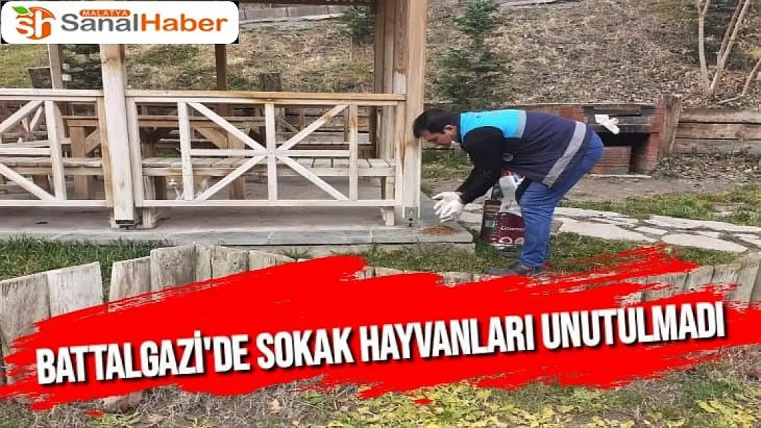 Battalgazi´de sokak hayvanları unutulmadı