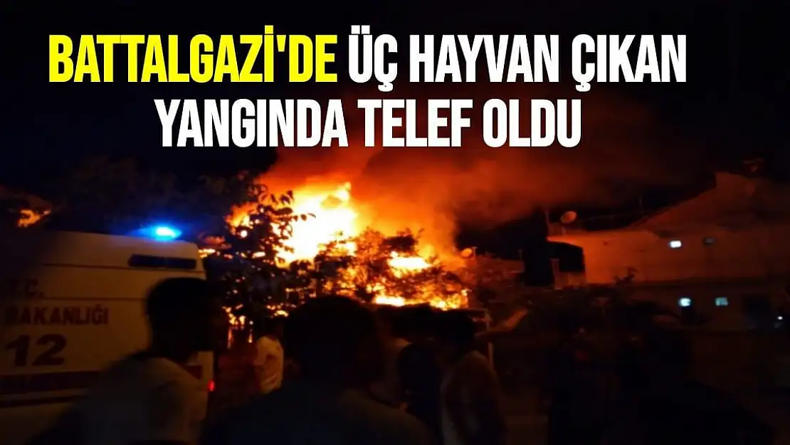 Battalgazi'de üç hayvan çıkan yangında telef oldu