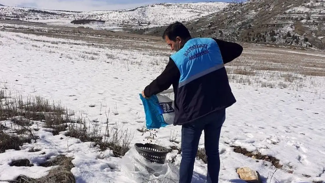 'Battalgazide sokak hayvanlara yem bırakıldı'