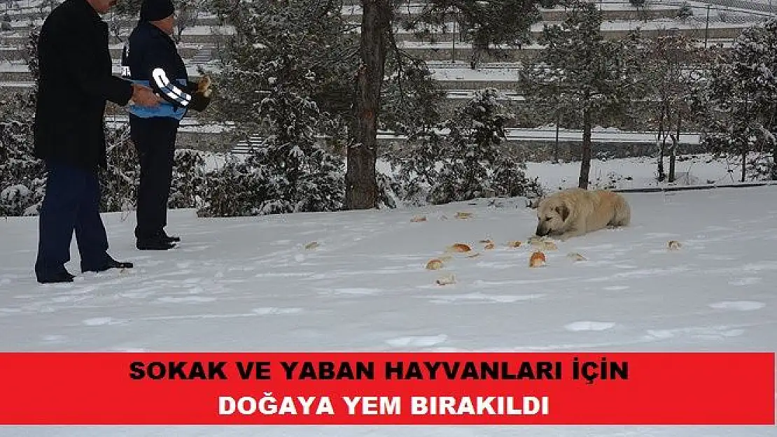  SOKAK VE YABAN HAYVANLARI İÇİN DOĞAYA YEM BIRAKILDI