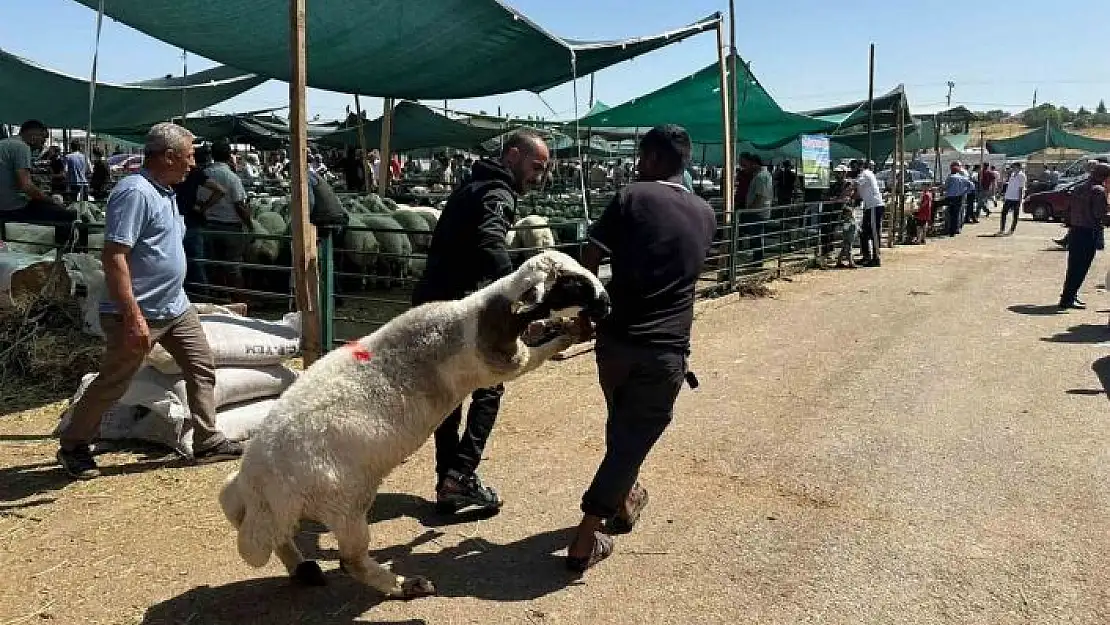 'Bayramın ilk gününde kurban pazarında hareketlilik'