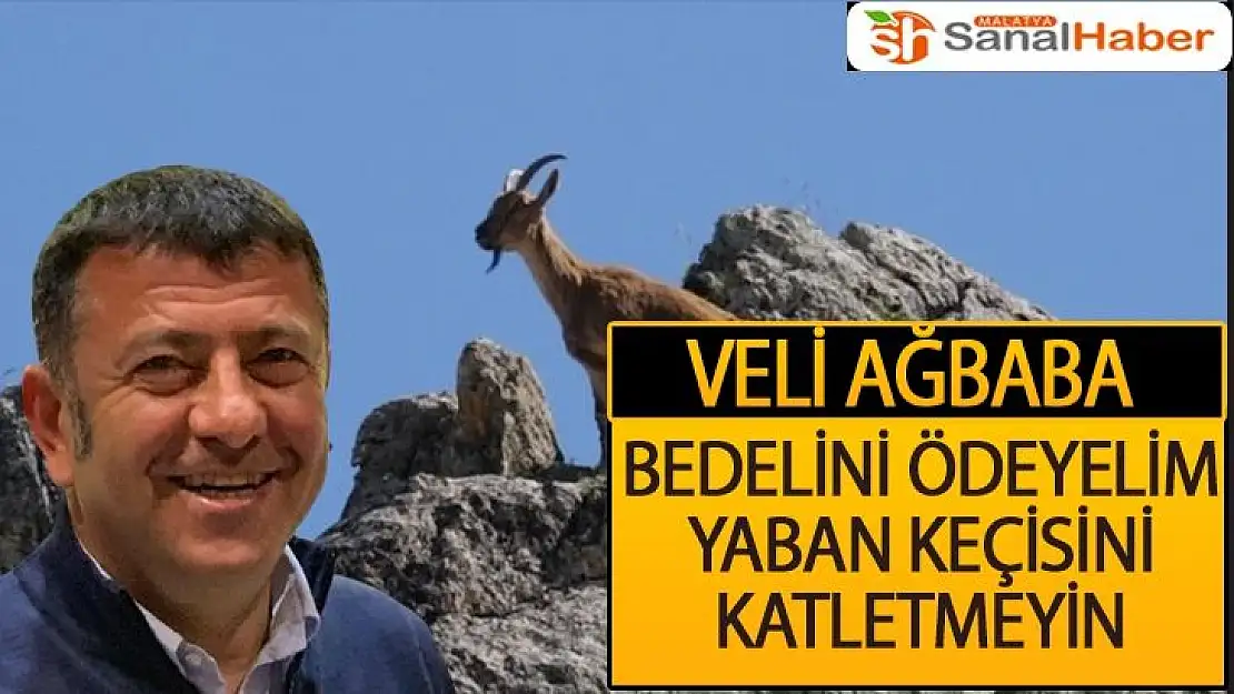 Bedelini Ödeyelim Yaban Keçisini Katletmeyin