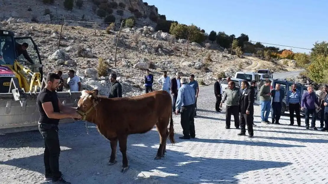 'Belediye Başkanı Kazgan´a hizmet teşekkürü'