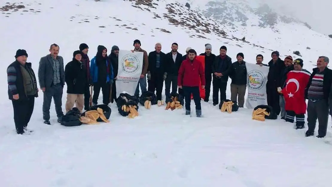 'Berit Dağı´nda yaban hayvanlarına yem'