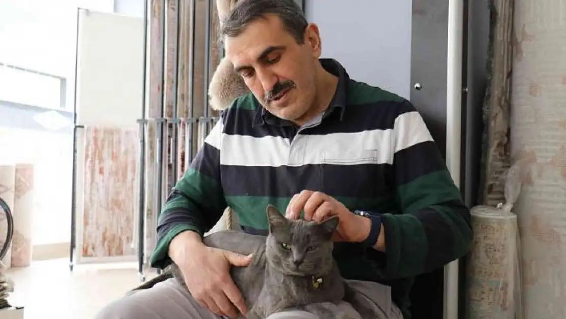 'Beslemek için aldığı kedi can dostu oldu'