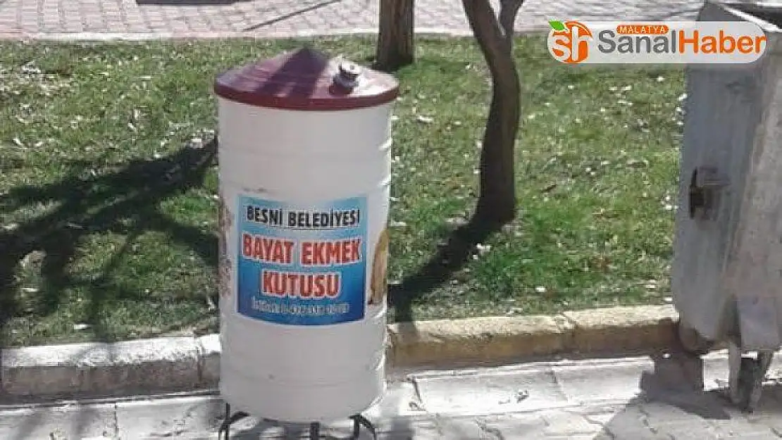 Besni Belediye bayat ekmekleri topluyor