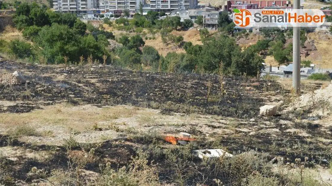 Besni'de anız yangını korkuttu