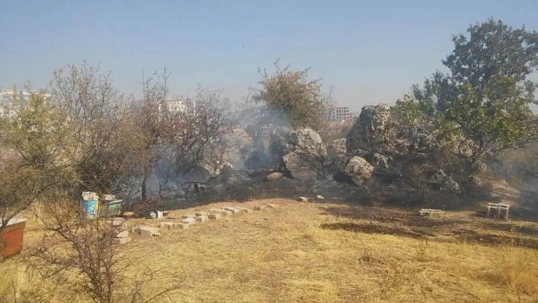 'Besni´de bahçe yangını ağaçlara zarar verdi'