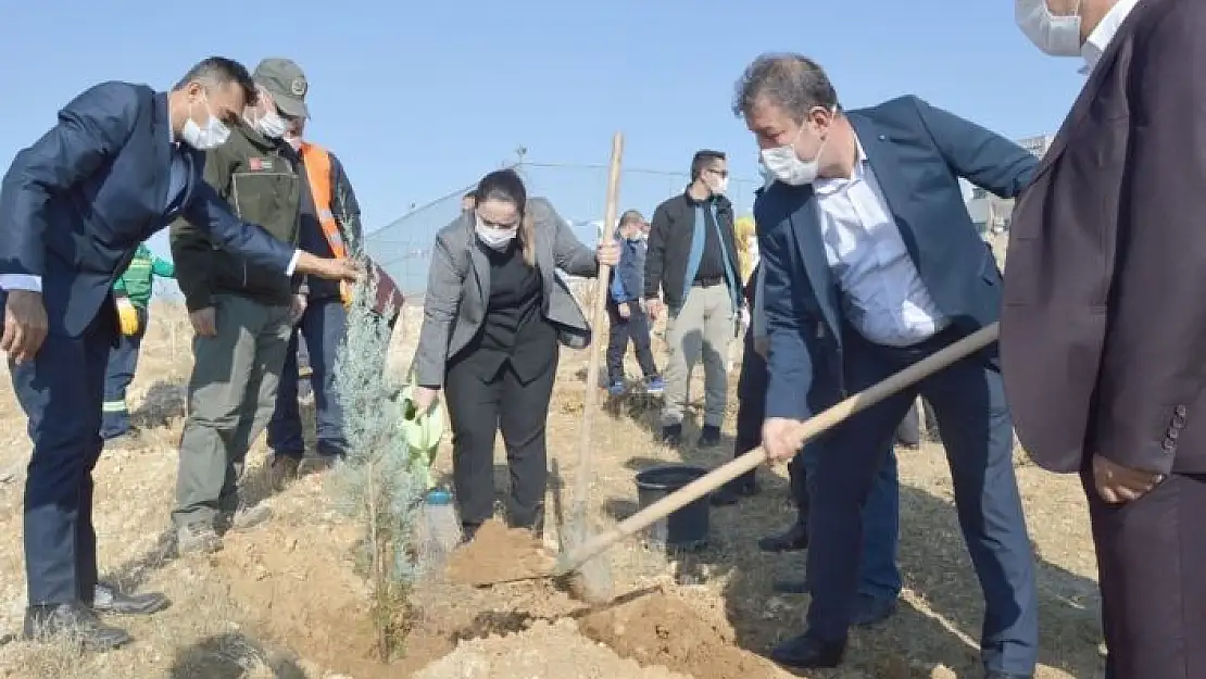 'Besni´de fidan dikimi gerçekleştirildi'